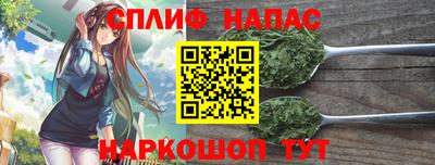 трава Сланцы