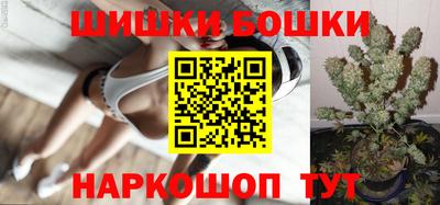 трава Сланцы